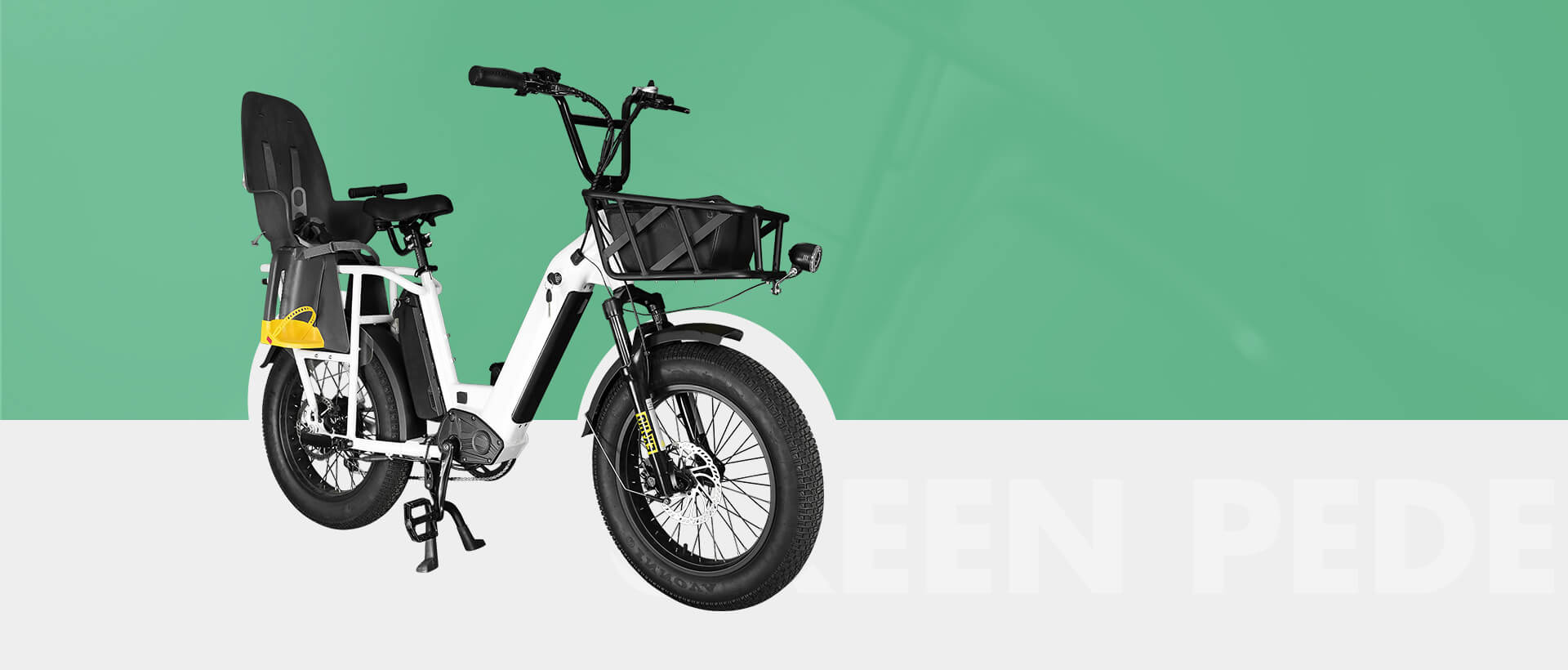 electric bike manufacturer